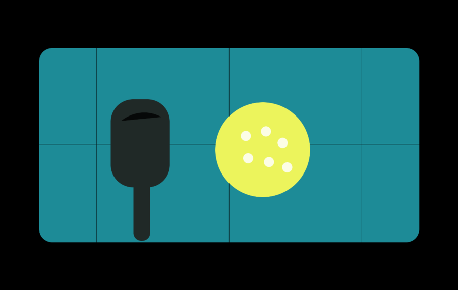 Pickleball court, paddle, and ball